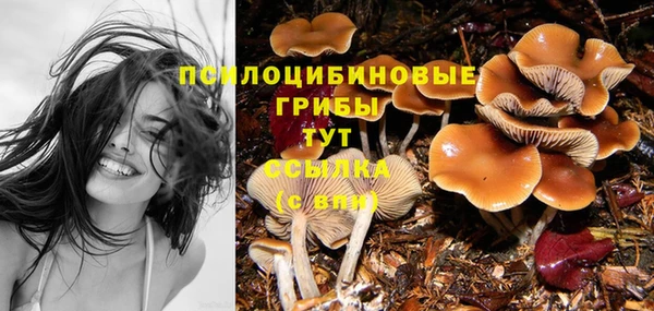 прущий лед Аркадак
