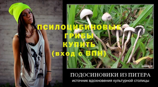 прущий лед Аркадак