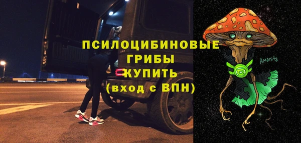 apvp Армянск