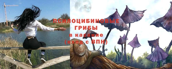 apvp Армянск