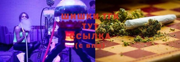 мдпв Пестово