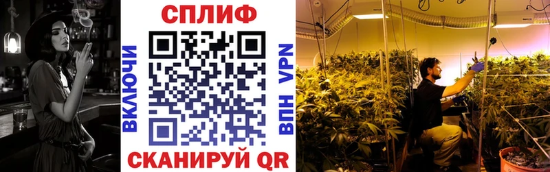 Бошки марихуана конопля  дарк нет состав  Россошь  blacksprut онион 